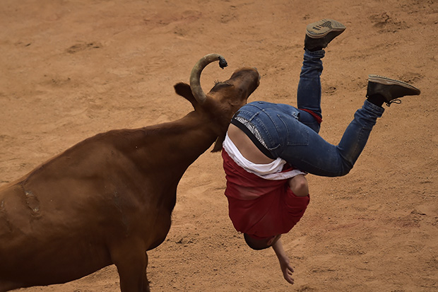 ШПАНСКИ САНФЕРМИНЕС: На трећој трци бикова само лаке повреде(ФОТО)